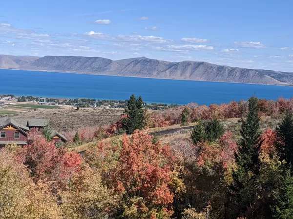 Fall